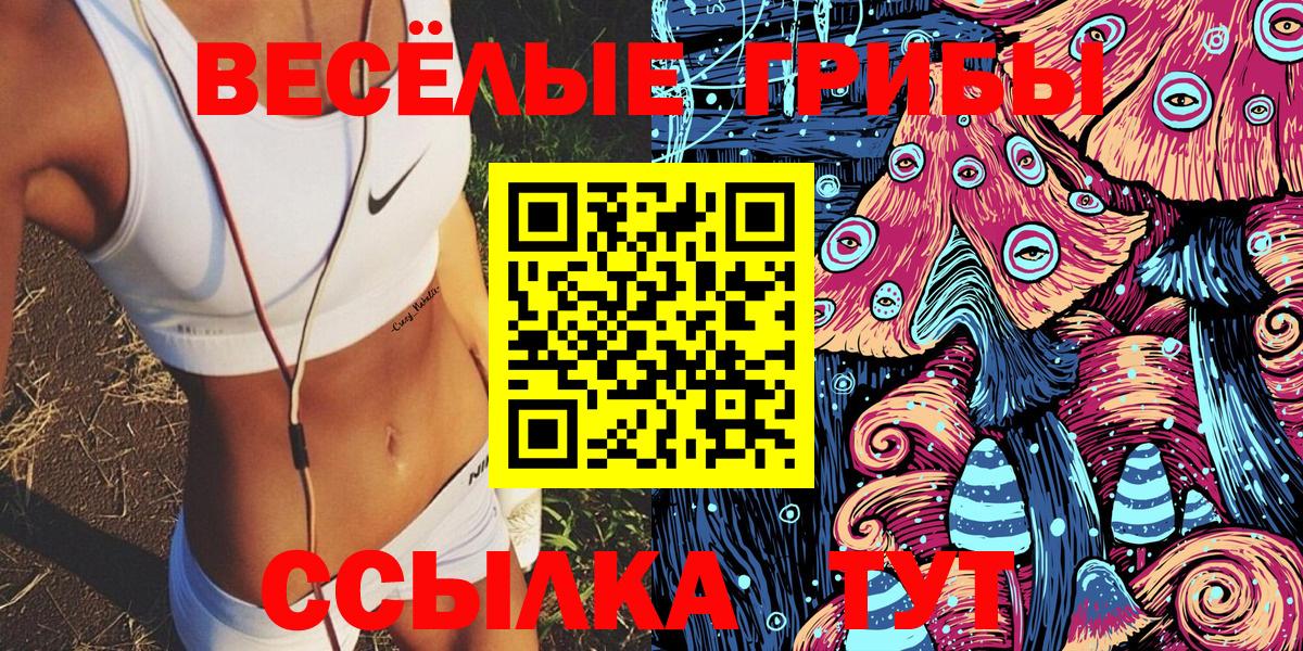 Псилоцибиновые грибы Psilocybe Нижнеудинск