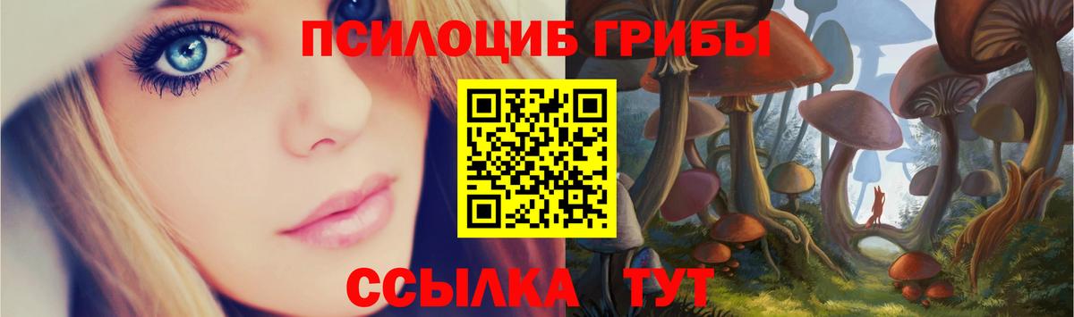 Галлюциногенные грибы GOLDEN TEACHER  Вход с VPN  Нижнеудинск 